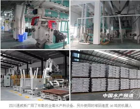 四川通威60万吨饲料生产基地投产仪式在眉山隆重举行 推动畜牧渔业高质量发展