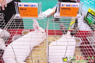 康大兔业参展2010中国畜牧业暨饲料工业展览会 引领兔业发展新趋势