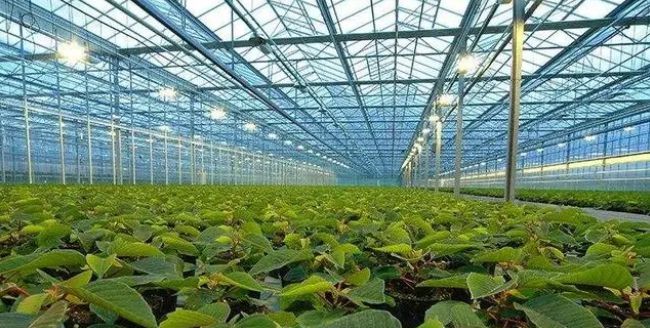 【智慧农业】智慧农业八大应用场景